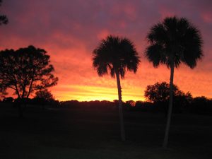 The silhouette of palm trees stands out in front of a bright red and yellow sunset while visiting Titusville, Florida.
