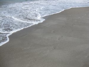 Faded footprints along a sandy beach trail beside small waves