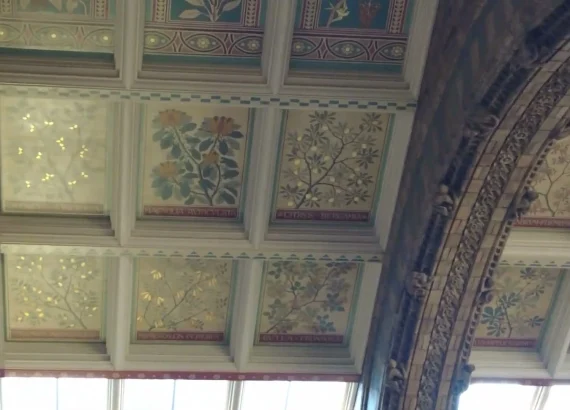 Painted plant panels between the arches of the Natural History Museum ceiling.